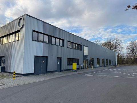 Glinde Halle, Glinde Hallenfläche