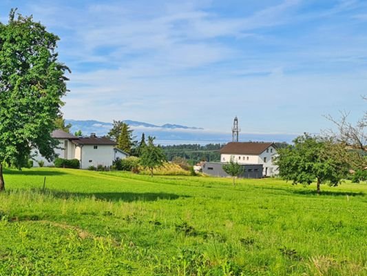 Aussicht zum Bodensee