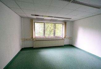 Sicht zum Fenster 5.06.jpg