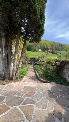 IMG_5679.jpg