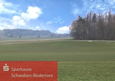 Türkheim Bauernhöfe, Landwirtschaft, Türkheim Forstwirtschaft