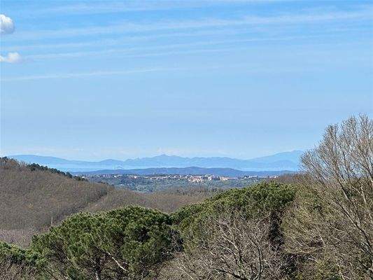 Ausblick auf das Meer Insel Elba