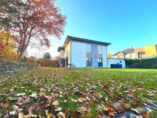 View from outdoor seating