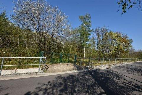 Ilsenburg (Harz) Bauernhöfe, Landwirtschaft, Ilsenburg (Harz) Forstwirtschaft