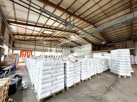 Reinbek Halle, Reinbek Hallenfläche