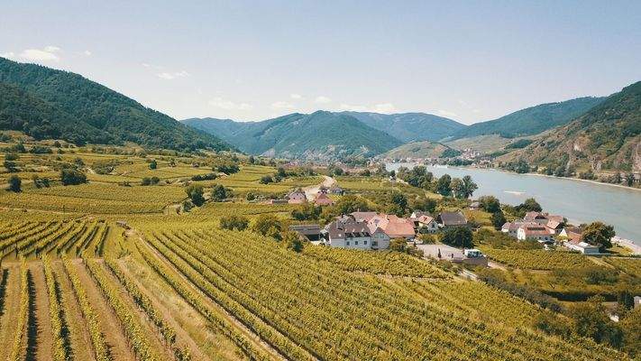 Bacharnsdorf, Spitz Hintergr.