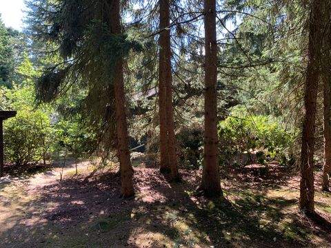 Winsen (Aller) Grundstücke, Winsen (Aller) Grundstück kaufen