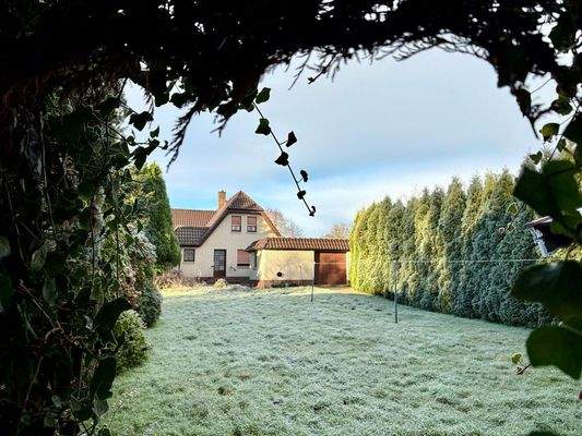 Blick aus dem Garten