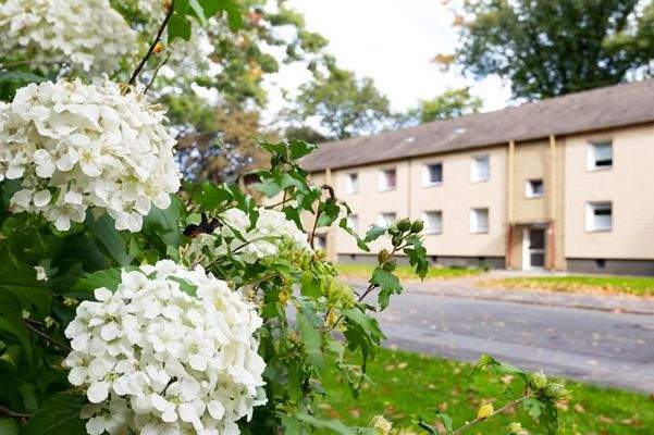 Freidrich-Ebert-Straße