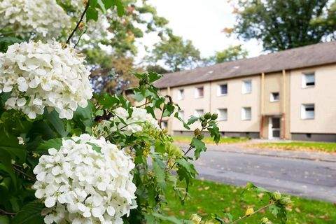 Duisburg Wohnungen, Duisburg Wohnung mieten