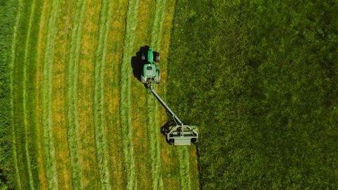 Falkenfels Bauernhöfe, Landwirtschaft, Falkenfels Forstwirtschaft