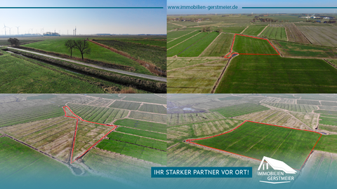 Dornum Bauernhöfe, Landwirtschaft, Dornum Forstwirtschaft