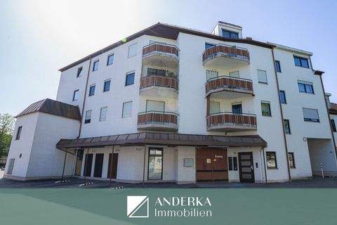 Günzburg Halle, Günzburg Hallenfläche