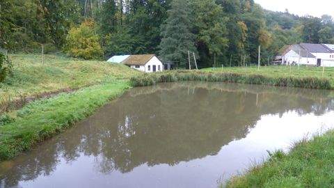 Kirf Bauernhöfe, Landwirtschaft, Kirf Forstwirtschaft