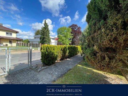 Albrecht-Dürer 22 005