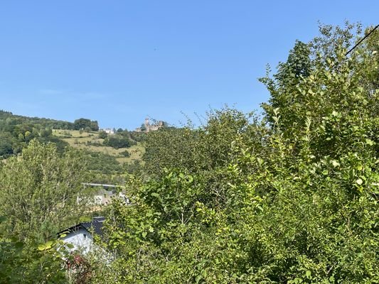 Aussicht auf Kasselburg