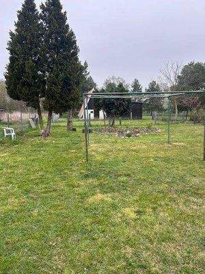 Blick ins Grundstück