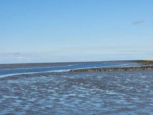 PHOTO-2025-12-06-05-20-28 2.jpeg