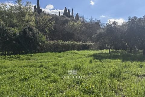 LAZISE Grundstücke, LAZISE Grundstück kaufen
