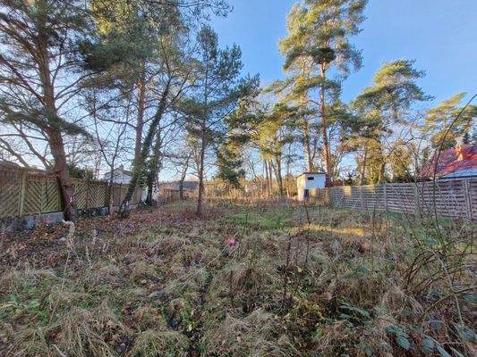 Grundstück_02_ mit Baumbestand im hinteren Teil