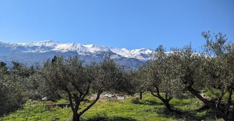 Kreta, Kaina: Grundstück mit Bergblick und Baugenehmigung zu verkaufen