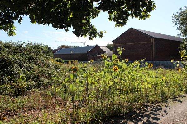 Grundstück-Sicht von hinten links nach vorne