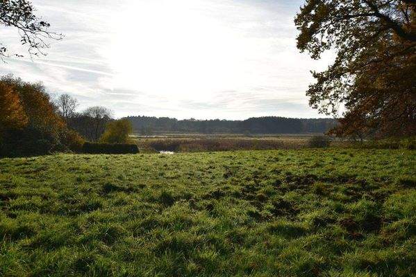 Morgensonne auf dem Grundstück.jpg