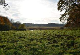 Morgensonne auf dem Grundstück.jpg