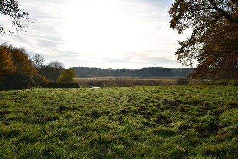 Trittau Häuser, Trittau Haus kaufen