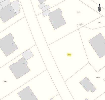 Flurkarte: 294/4