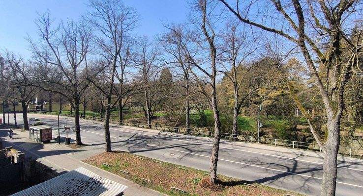 Ausblick in den Schlosspark.jpg