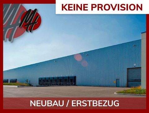 Groß-Gerau Halle, Groß-Gerau Hallenfläche