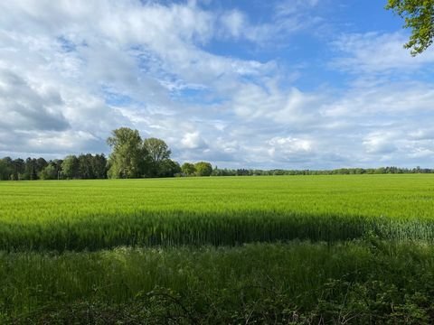Hesel / Stiekelkamperfehn Bauernhöfe, Landwirtschaft, Hesel / Stiekelkamperfehn Forstwirtschaft