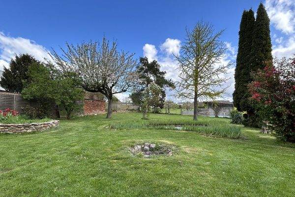 Freifläche im Garten