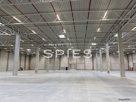 Vechta Halle, Vechta Hallenfläche