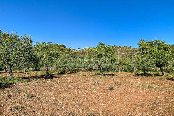 ...weiterer schöner Blick auf die Finca