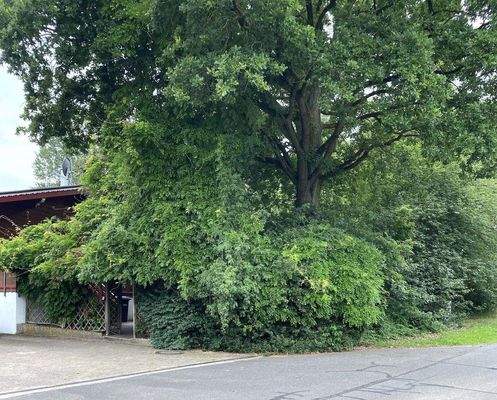 Grundstück von vorne