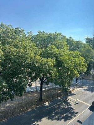 PHOTO-2025-07-22-19-08-35 13.jpg