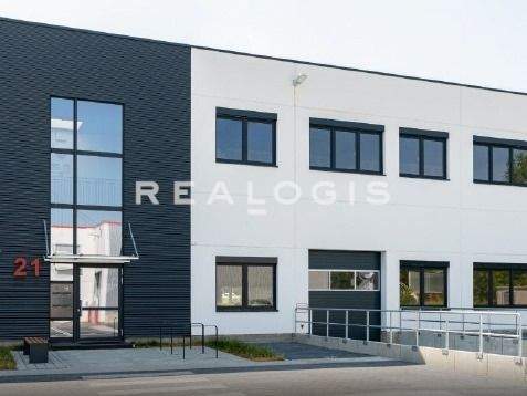 Berlin Halle, Berlin Hallenfläche