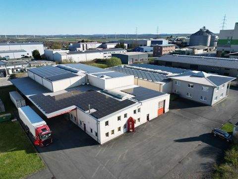 Büren Halle, Büren Hallenfläche