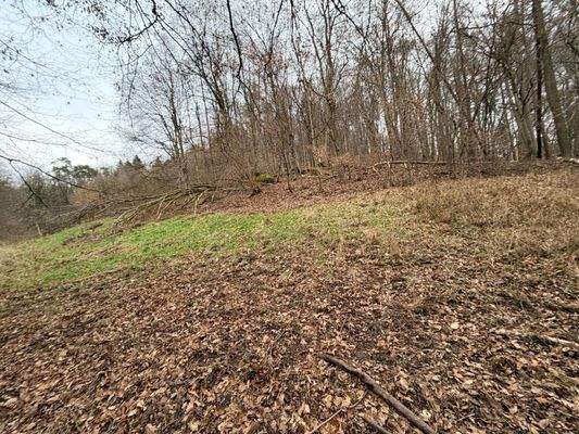 WhatsApp Image 2026-01-05 at 15.45.44 (5).jpeg