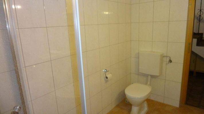 Bad mit Dusche und WC EG