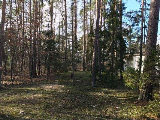 Blick ins Grundstück