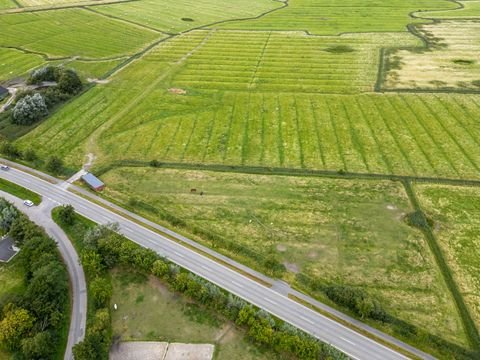 Sankt Peter-Ording Bauernhöfe, Landwirtschaft, Sankt Peter-Ording Forstwirtschaft