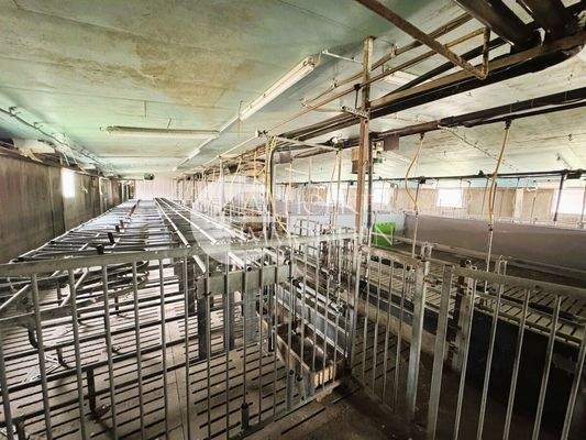 469.Betrieb.Innen.Stall