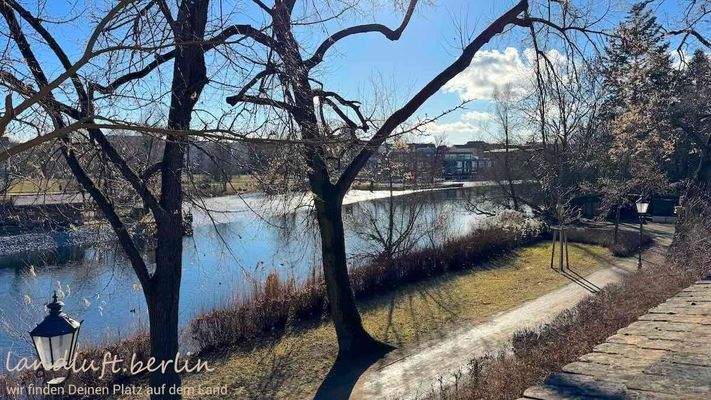 Blick über die Stadtmauer.jpeg