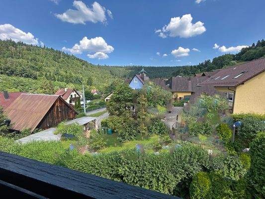 Fernblick in den Schwarzwald