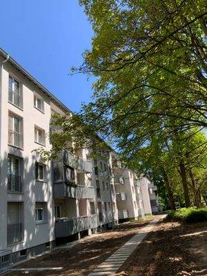 Rückansicht eines mehrstöckigen Gebäudes mit Fenstern, umgeben von Bäumen und Sträuchern 