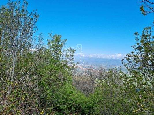 Objekt in Panoramalage