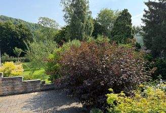 Ansicht Freisitz / Terrasse